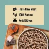 DIBO0032Salmon_Tripe_4 *NEW* DIBO Free Flow Mince Salmon & Tripe 1kg