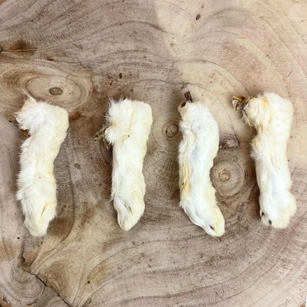 Nova ~ Rabbit Feet with Fur individual