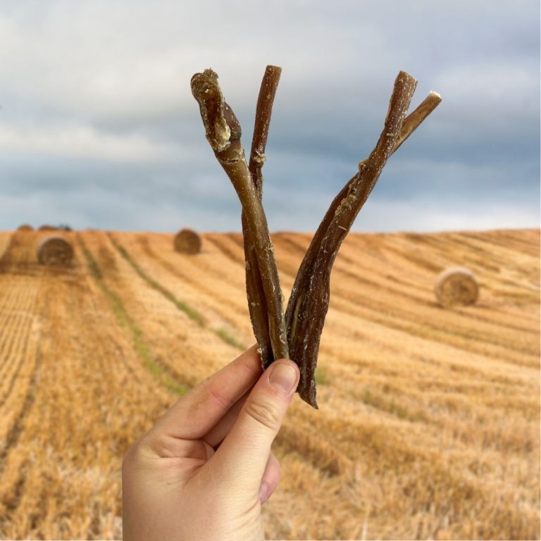 *NEW* Nova Dog Chews ~ Lamb Spaghetti 100g loose