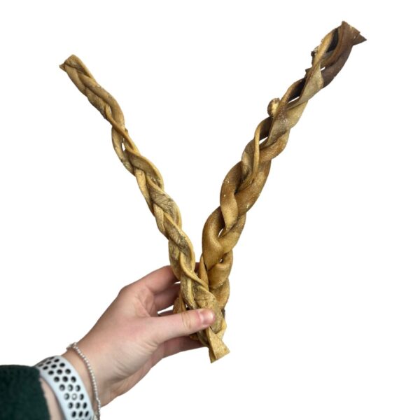Nova ~ Giant Beef Skin Braid 30cm (each)