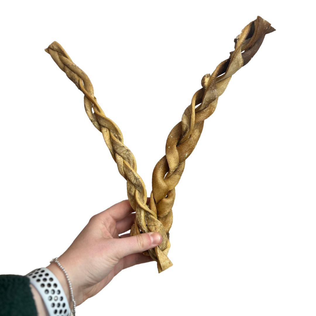 Nova ~ Giant Beef Skin Braid 30cm (each)
