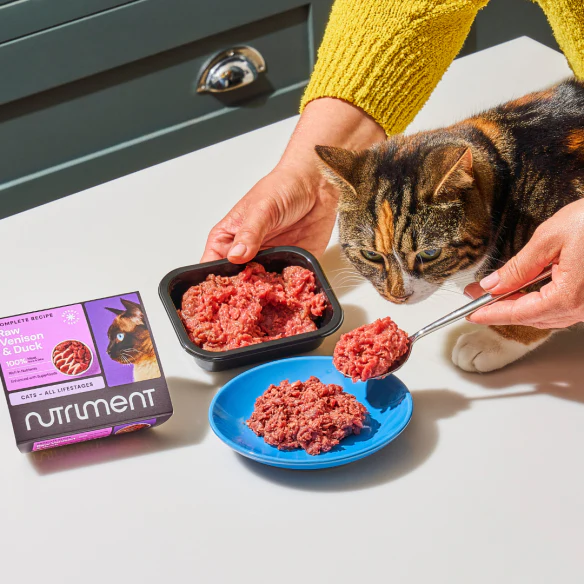 Nutriment 500g Chicken Formula Cat Food