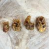 *NEW* Nova ~ Porky Bites 500g