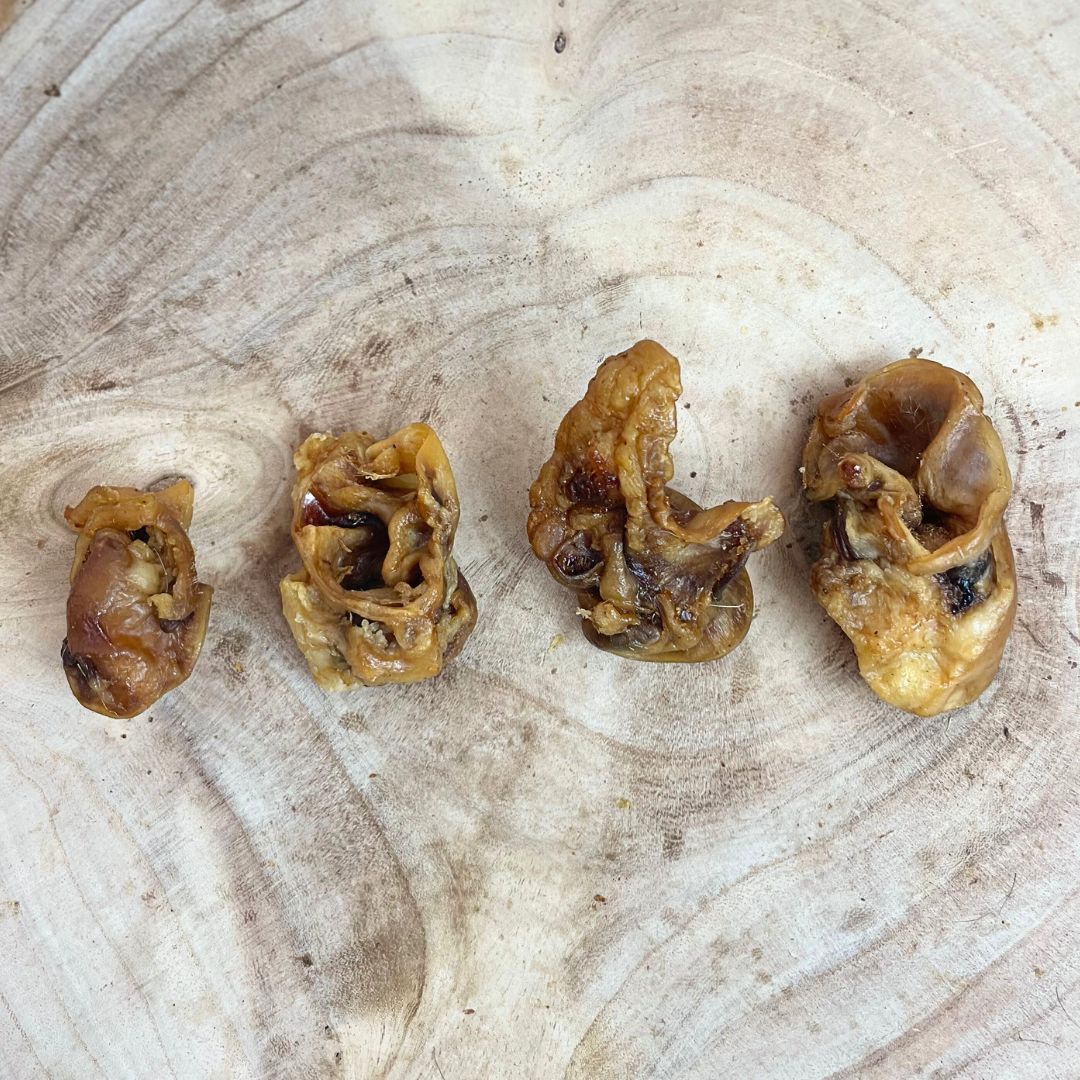*NEW* Nova ~ Porky Bites 500g