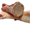 MBCBNB (1) Dougies ~ Beef Marrow Bone Centres (2 pack) Large
